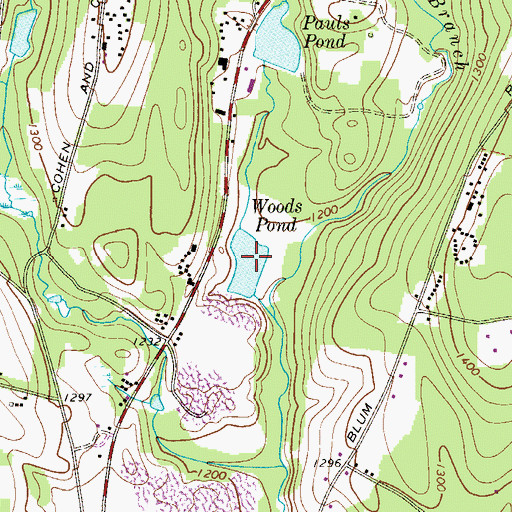 Topographic Map of Woods Pond, NY