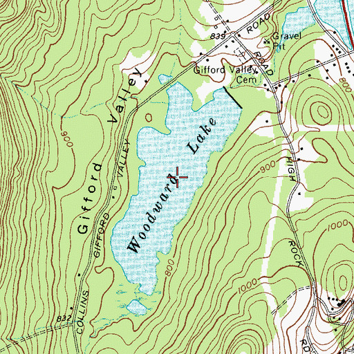 Topographic Map of Woodward Lake, NY