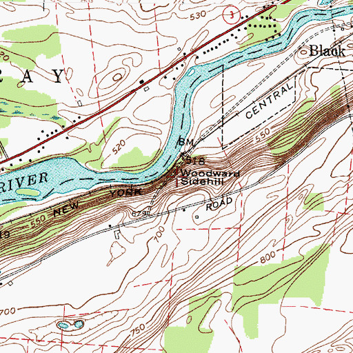 Topographic Map of Woodward Sidehill, NY