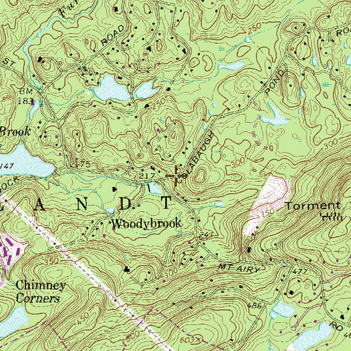 Topographic Map of Woodybrook, NY