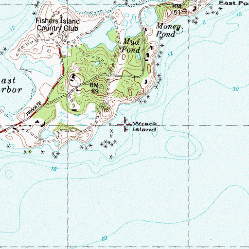 Topographic Map of Wreck Island, NY