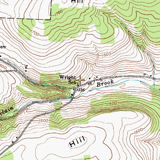 Topographic Map of Wright School, NY
