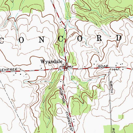 Topographic Map of Wyandale, NY