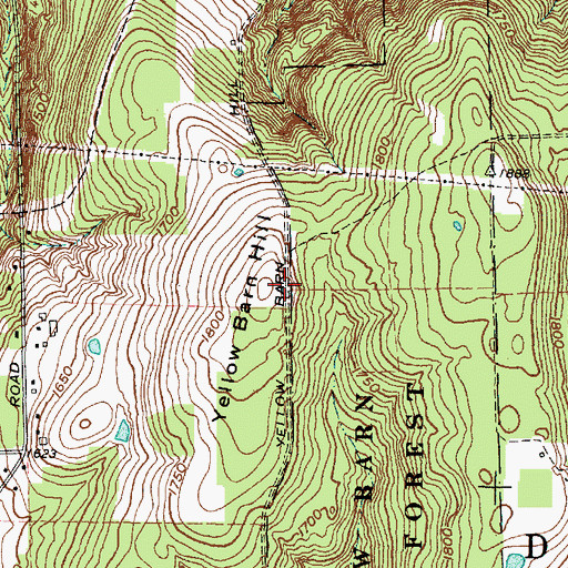 Topographic Map of Yellow Barn Hill, NY