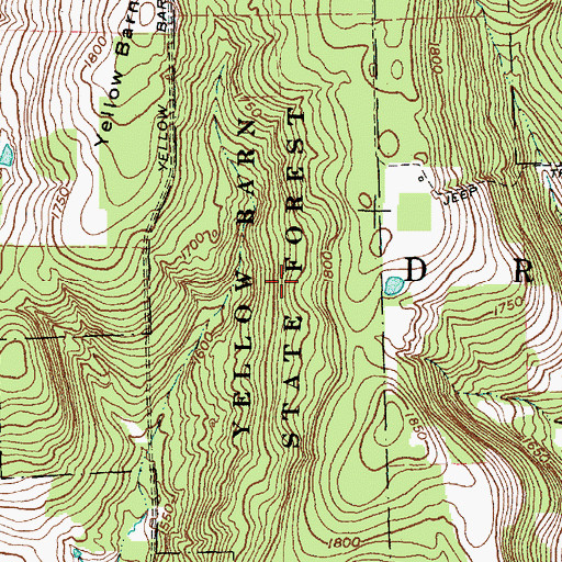 Topographic Map of Yellow Barn State Forest, NY