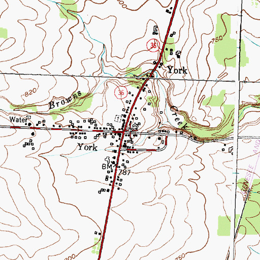 Topographic Map of York, NY
