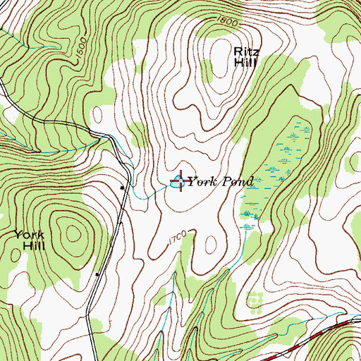 Topographic Map of York Pond, NY