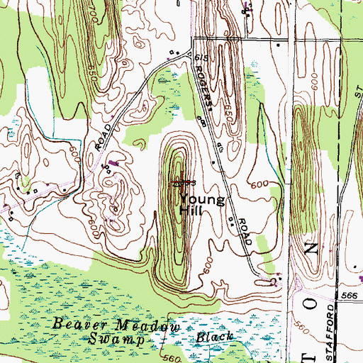 Topographic Map of Young Hill, NY