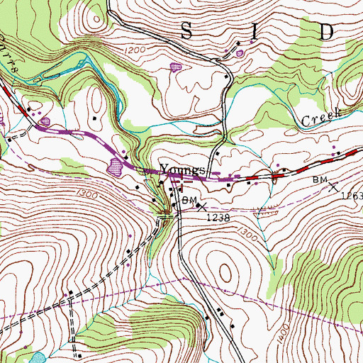 Topographic Map of Youngs, NY