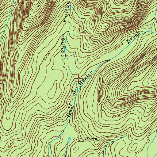 Topographic Map of Youngs Hollow, NY