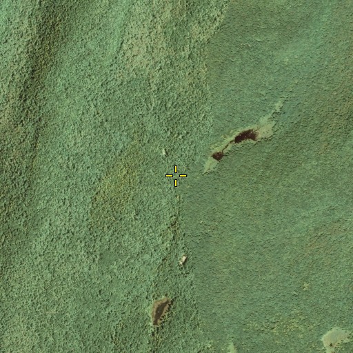 Aerial/Satellite Image of Youngs Hollow, NY