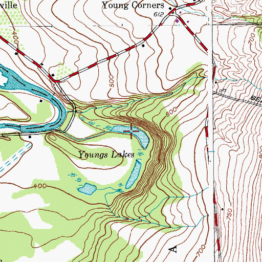 Topographic Map of Youngs Lakes, NY