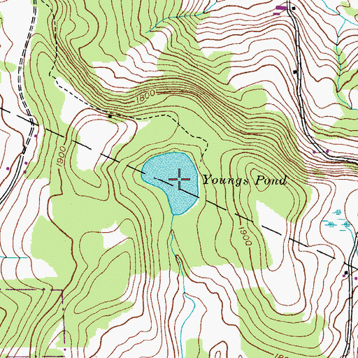 Topographic Map of Youngs Pond, NY