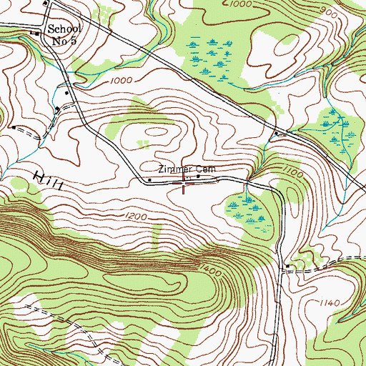 Topographic Map of Zimmer Cemetery, NY