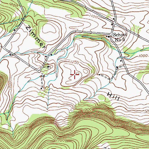 Topographic Map of Zimmer Hill, NY