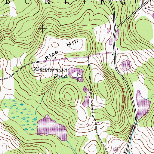 Topographic Map of Zimmerman Pond, NY
