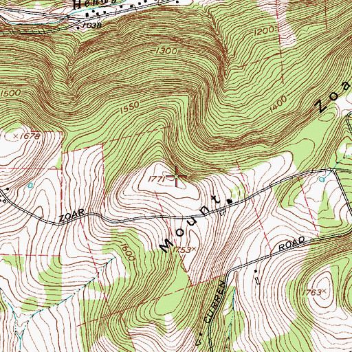 Topographic Map of Mount Zoar, NY