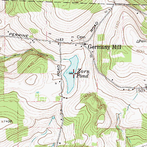 Topographic Map of Zorn Pond, NY