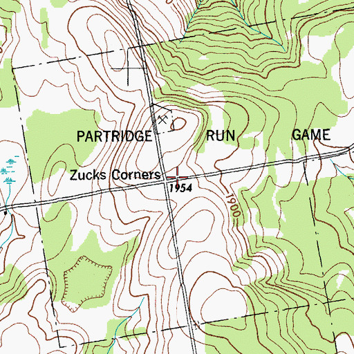 Topographic Map of Zucks Corners, NY