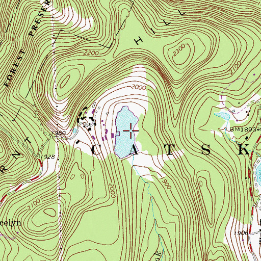 Topographic Map of Lincoln Farm Lake, NY