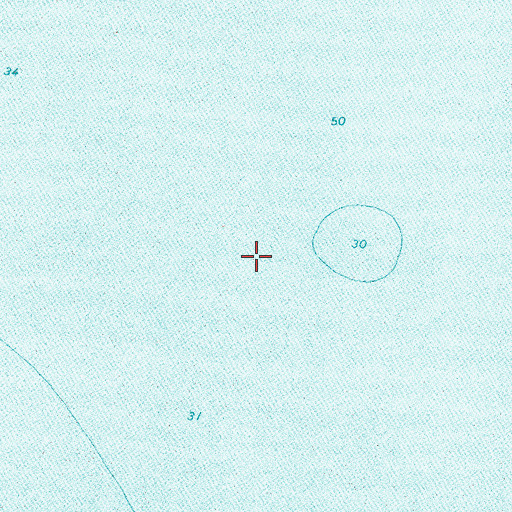 Topographic Map of Lewis Shoal, NY