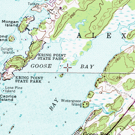 Topographic Map of Snake Oil Island, NY