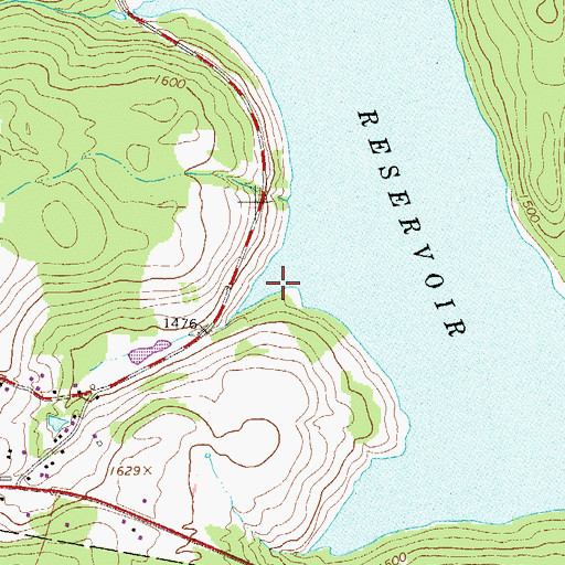 Topographic Map of Theodore Gordon Cove, NY