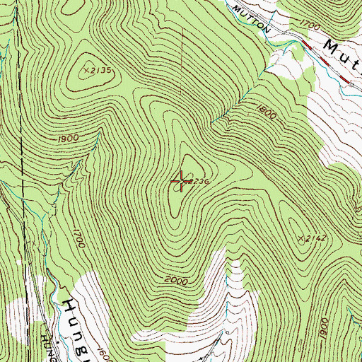 Topographic Map of Smith Mountain, NY