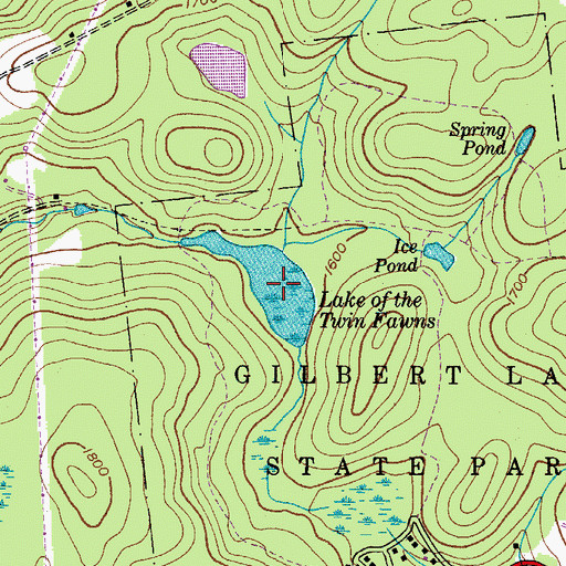 Topographic Map of Lake of the Twin Fawns, NY