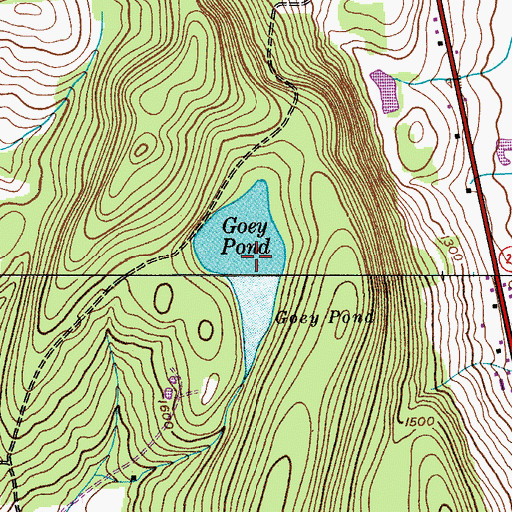 Topographic Map of Goey Pond, NY