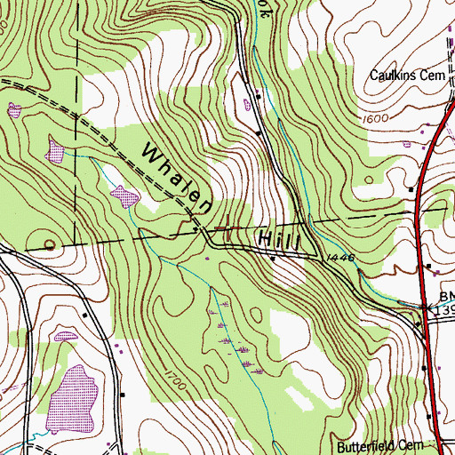 Topographic Map of Whalen Hill, NY