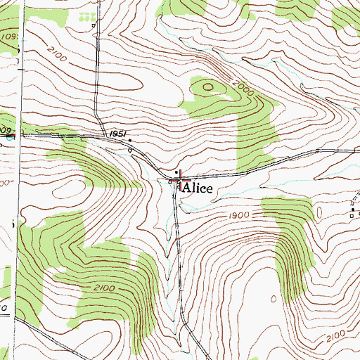 Topographic Map of Alice, NY