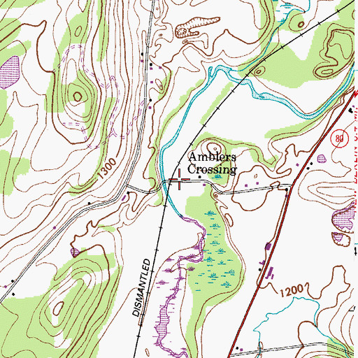 Topographic Map of Amblers Crossing, NY