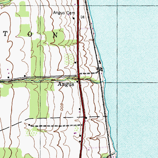 Topographic Map of Angus, NY