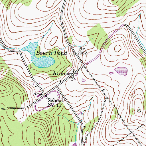 Topographic Map of Arabia, NY