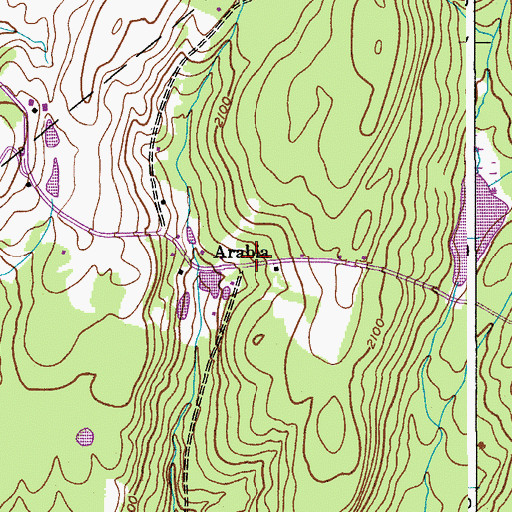 Topographic Map of Arabia, NY
