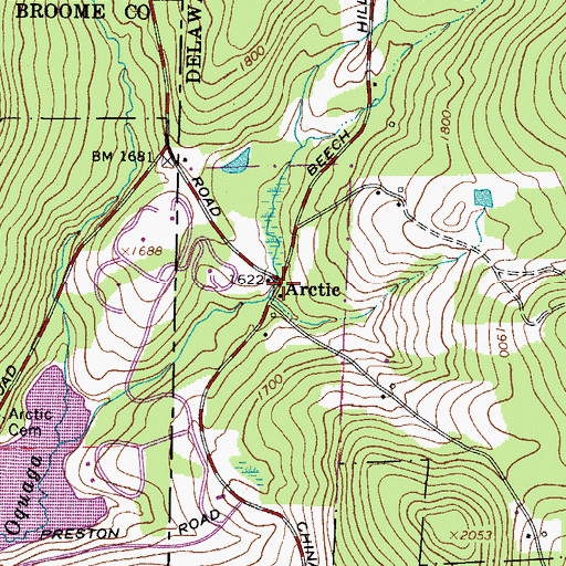Topographic Map of Arctic, NY