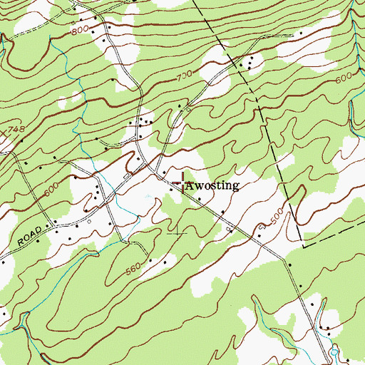 Topographic Map of Awosting, NY