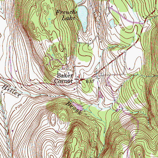 Topographic Map of Baker Corner, NY