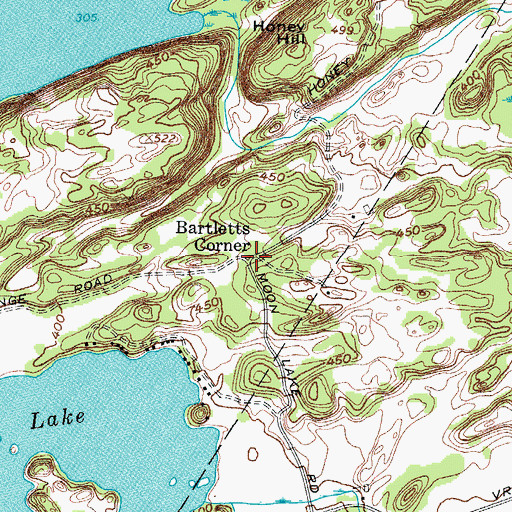 Topographic Map of Bartletts Corner, NY