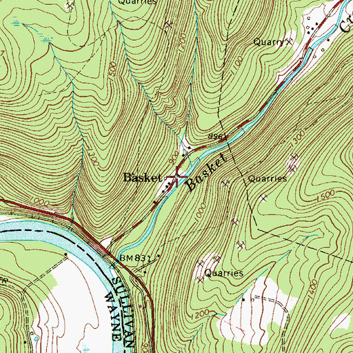 Topographic Map of Basket, NY