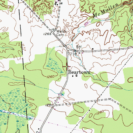 Topographic Map of Beartown, NY