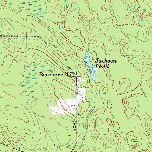 Topographic Map of Beecherville, NY