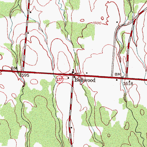 Topographic Map of Bellwood, NY