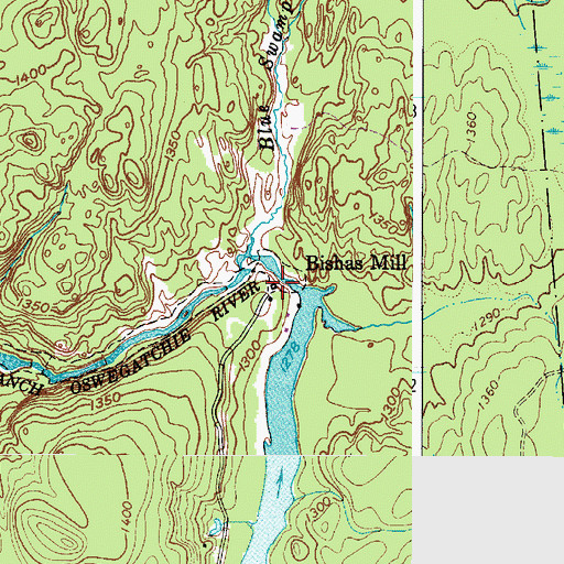Topographic Map of Bishas Mill, NY
