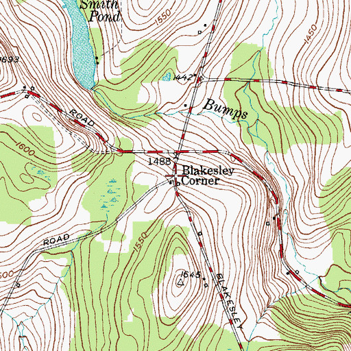 Topographic Map of Blackesley Corner, NY