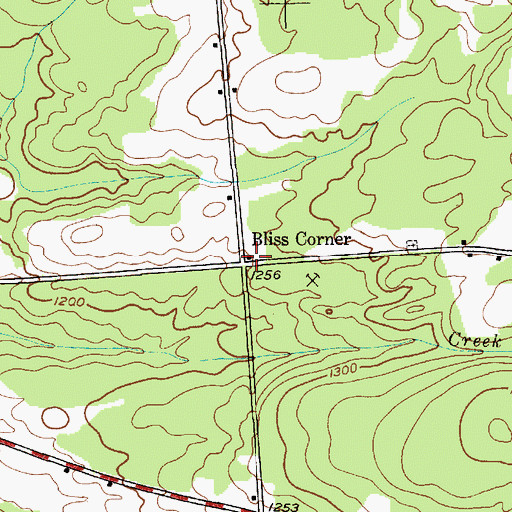 Topographic Map of Bliss Corner, NY
