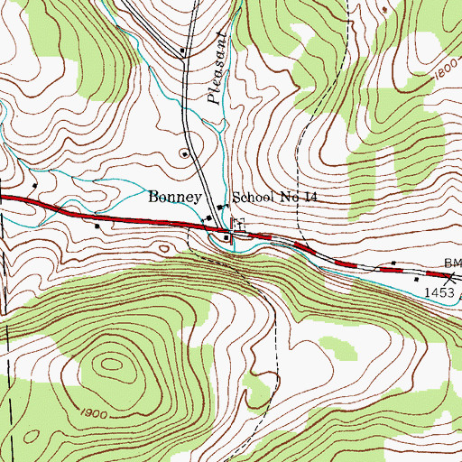 Topographic Map of Bonney, NY
