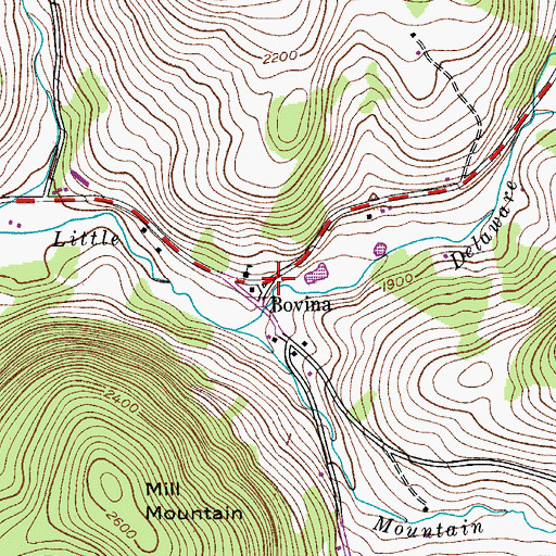 Topographic Map of Bovina, NY