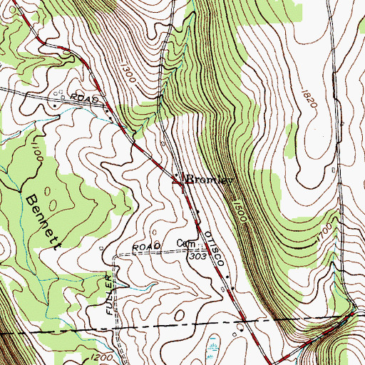 Topographic Map of Bromley, NY
